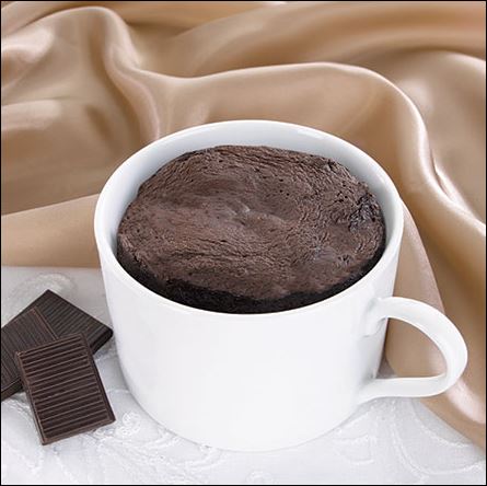 Mug Cake Chocolate Dessert by Healthwise