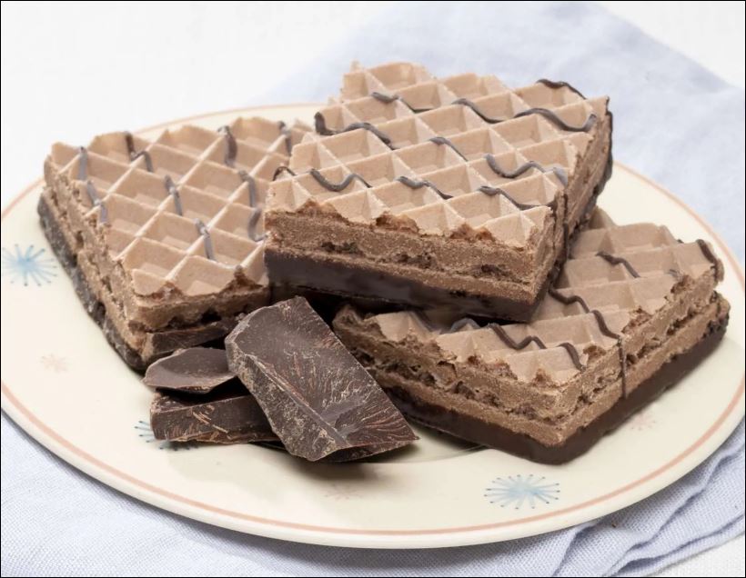 Wafers Proti Square Chocolate by Bariatrix